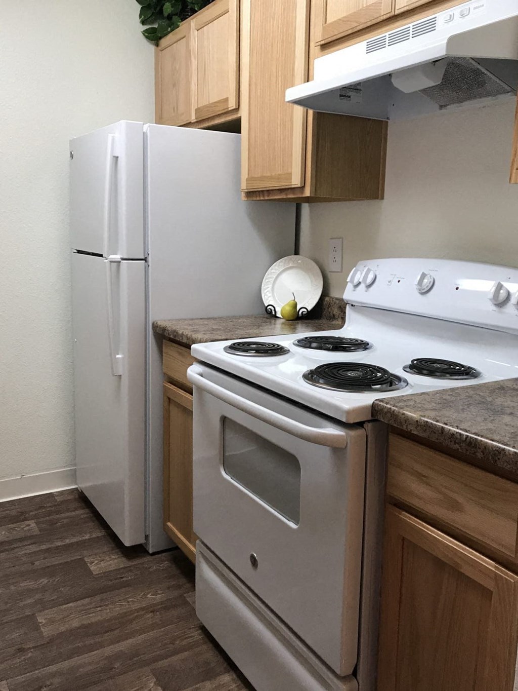 a kitchen with a stove and a refrigerator